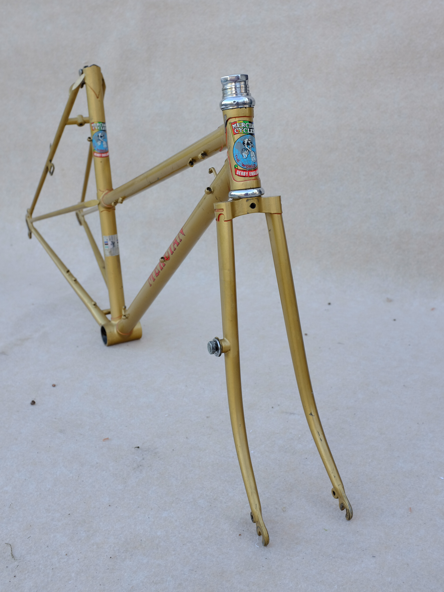 Mercian mixte
