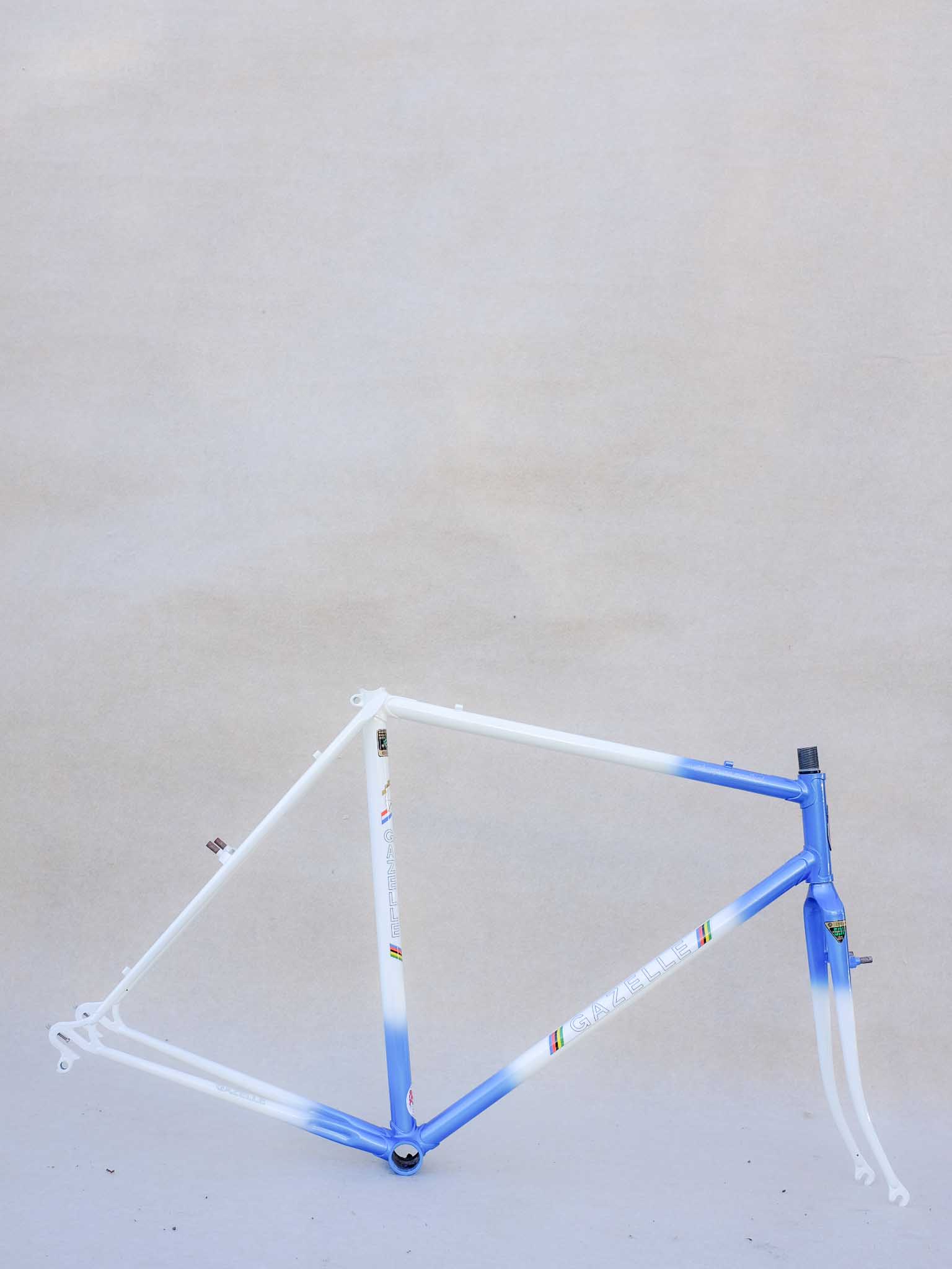 gazelle cyclocross